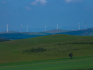 塞罕坝机械林场