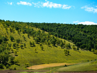 塞罕坝机械林场