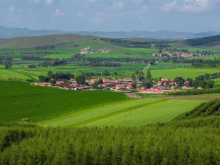 塞罕坝机械林场