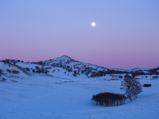 乌兰布统古战场