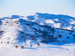 乌兰布统古战场