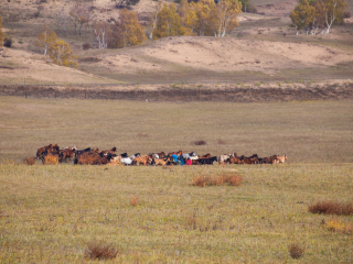 乌兰布统古战场