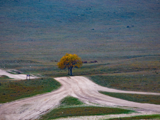 乌兰布统古战场