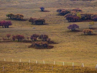 乌兰布统古战场