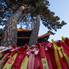 普乐寺的#旅图换旅费#