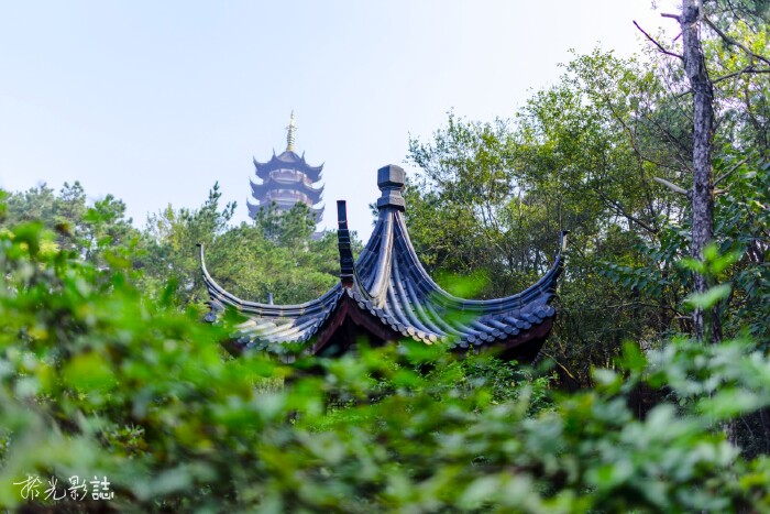 忆江南之港城印象【多图】_张家港公园游记_途牛