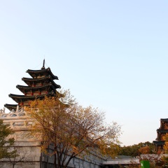 国立民俗博物馆