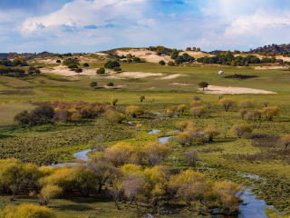 御道口草原森林