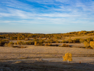 御道口草原森林
