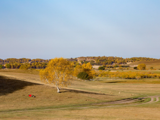 御道口草原森林