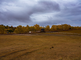 御道口草原森林