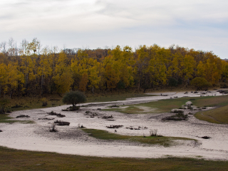 御道口草原森林