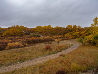 御道口草原森林