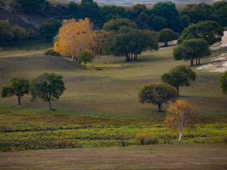 御道口草原森林