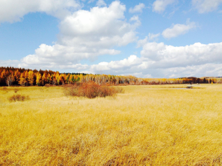 丰宁满族自治县