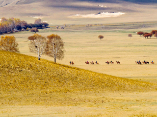 围场满族蒙古族自治县