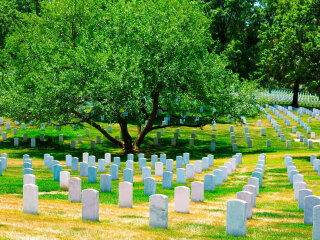 阿灵顿国家公墓