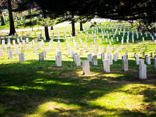 阿灵顿国家公墓