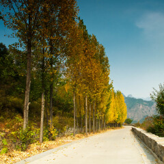 郭亮村的#旅图换旅费# #旅拍# #自然风光#