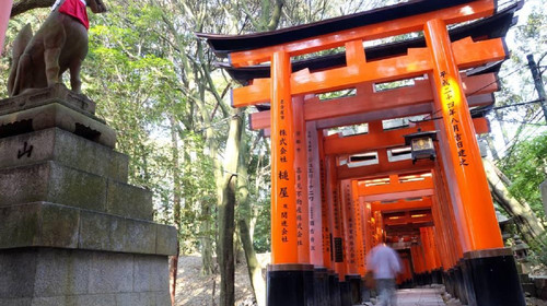 日本大阪7晚8日自由行 3晚京都1晚神户3晚大阪 畅游关西 感受日本自然与现代文化 出发 途牛