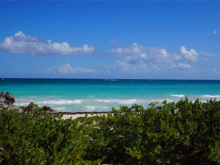 图卢姆玛雅遗址