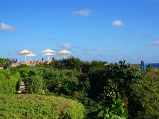 伊希切尔神庙废墟