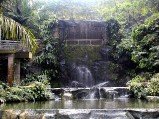 吉隆坡飞禽公园
