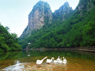 天台山风景名胜区