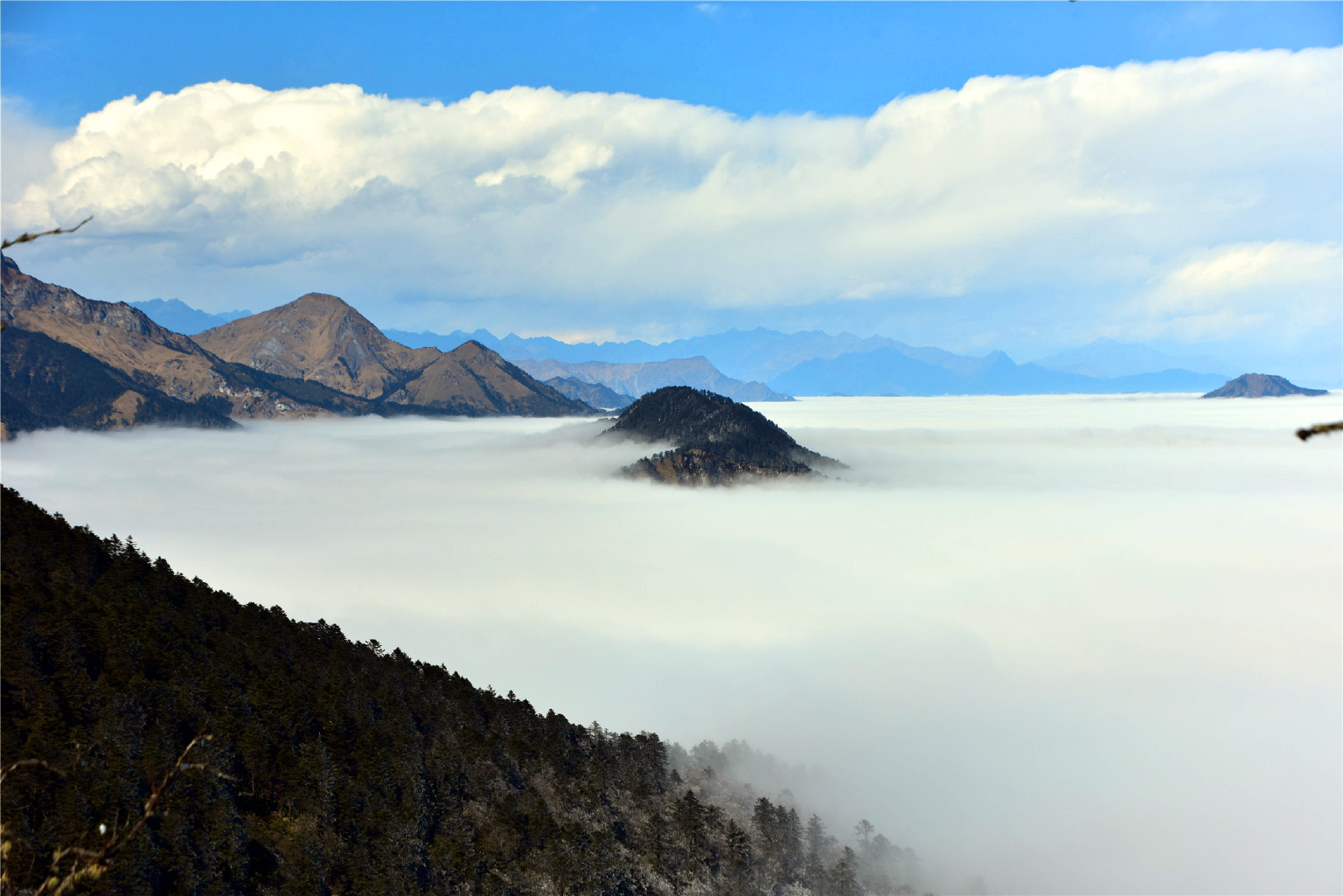 过大年天上人间