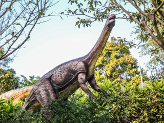 大鹏半岛国家地质公园博物馆