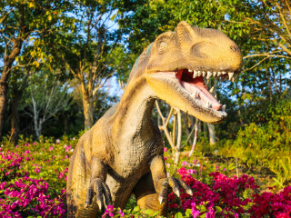 大鹏半岛国家地质公园博物馆