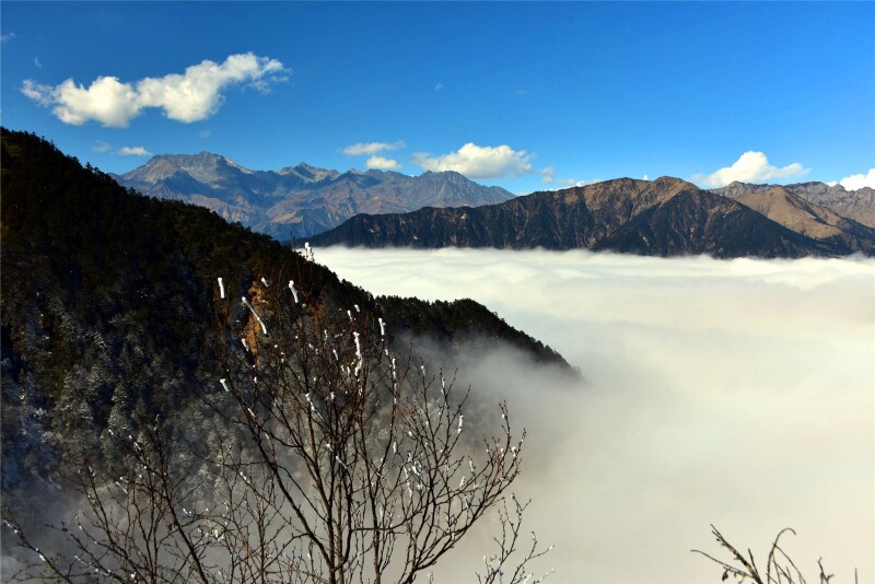 过大年# 天上人间