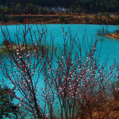 蓝月谷的#旅图换旅费#