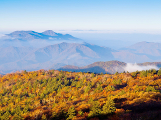 本溪满族自治县