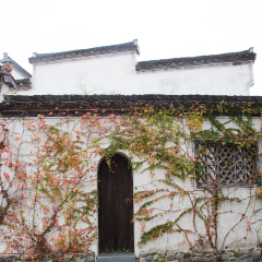 西递的#旅图换旅费#