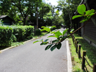 花东纵谷国家风景区