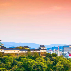景点模块 