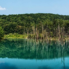 景点模块 