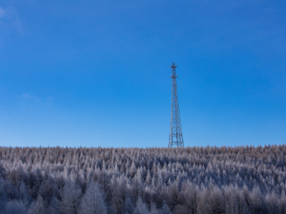 塞罕坝机械林场