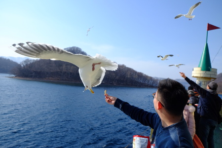 <日本-北海道5-6日游>道央巡游，温泉会席料理/自助餐/日式拉面/海鲜锅 ，A线全程跟团，地狱谷/洞爷湖/熊牧场，B线札幌1日自由，度假村连住