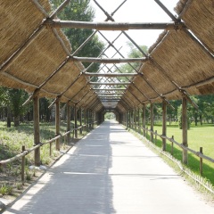 北京野生动物园