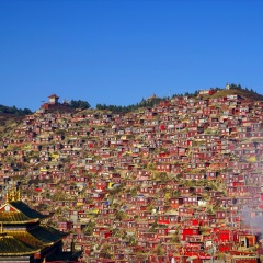 活动模块 