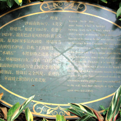 沙面 3