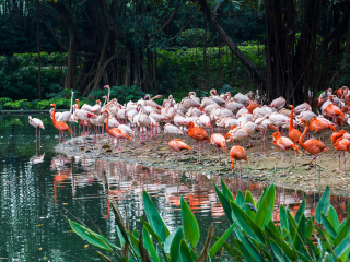 长隆旅游度假区