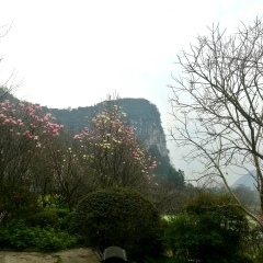 穿山公园的#旅图换旅费# #户外游#