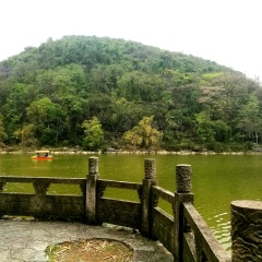 西山公园、芦笛岩景区的#旅图换旅费# #自然风光#