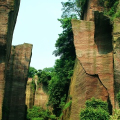 莲花山