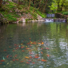 灵隐寺