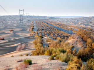 塔里木沙漠公路