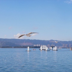 滇池